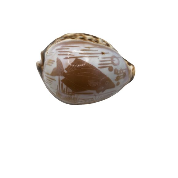 Hand-Carved Cowrie Shell With Fish Design Ocean Water Sea Life Decor Nautical - Picture 6 of 11